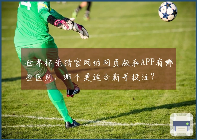 世界杯竞猜官网的网页版和APP有哪些区别，哪个更适合新手投注？