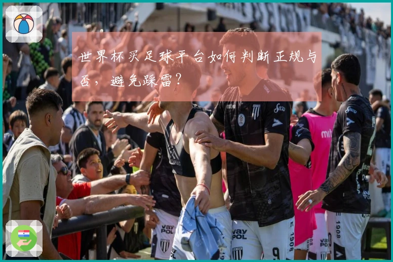 世界杯买足球平台如何判断正规与否，避免踩雷？