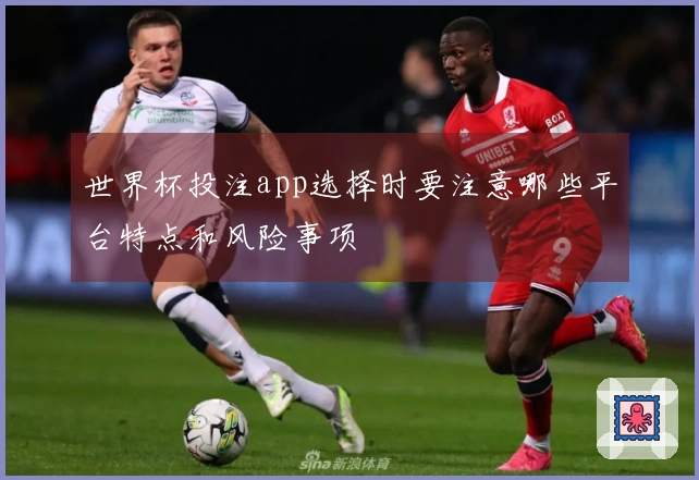 世界杯投注app选择时要注意哪些平台特点和风险事项