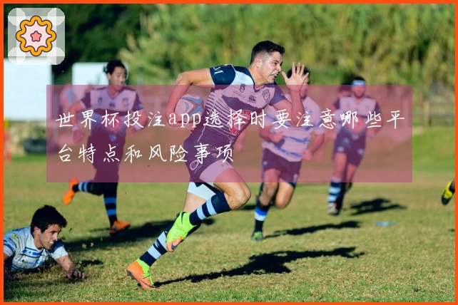 世界杯投注app选择时要注意哪些平台特点和风险事项